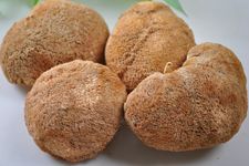 �ﹽɵ�����