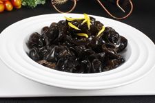 ��ĩľ��������