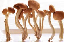 ��乽������