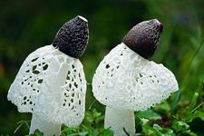 ���p��ô�Ե�����