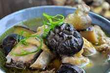 �ľ����������