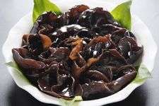 ��ľ��������