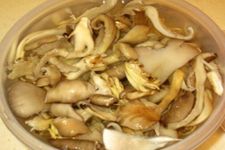 �u����������