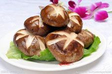 �㹽������