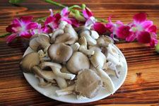 ���乽������