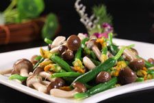 зζ��������