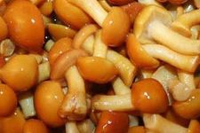 �Ҙ仨������