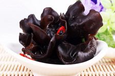 ľ��������