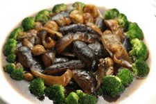 ��Ģ��������