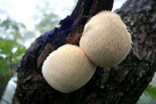 ���^��������