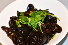 ��ľ��������