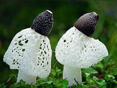 ���p������