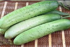 ���S�ϵ�����