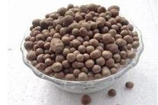 ɽˎ��������