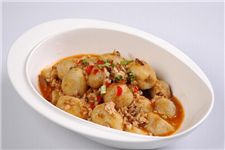 �t�����^������