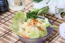 ����ɳ��������