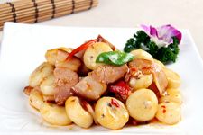 �R�������