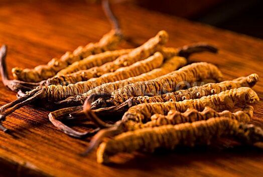 ���x�Ĳݵ�����