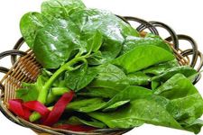 ľ���˵�����