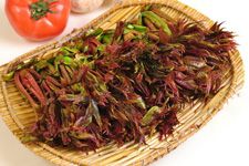 �㴻������