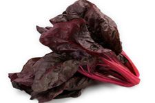 �t�~��˵�����