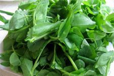 �㶹�������