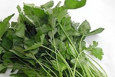 �����۵�����