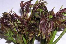 �㴻������