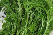 ѩ��ޮ������