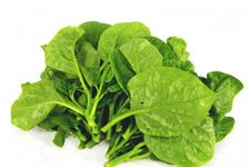 ���˵�����