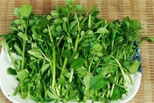 ��ޣ������