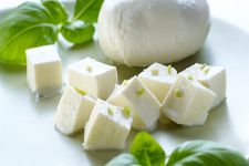 ��˶���������