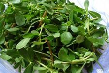 �R��˵�����