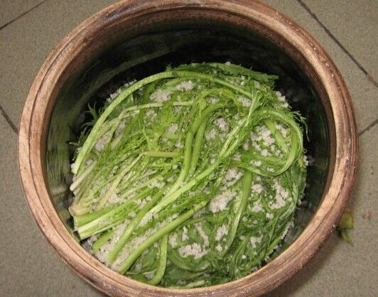 ѩ��t�����Ʒ���������