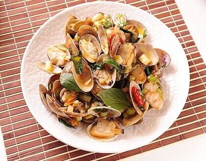 ���������ӵ�����