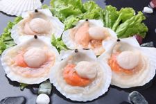 ��ؐ��ôϴ������