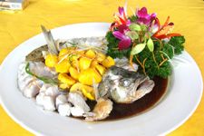 �|�~������