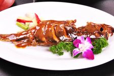 �t�����~������