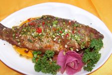 �t�����~������