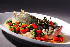 ���~������