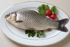 �a�~������