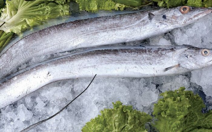 ���~������