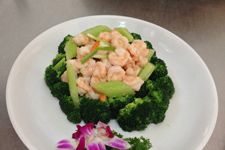 �����r�r�ʵ�����