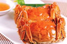 �����з������