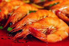 �͠F���r������