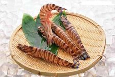 �����r������