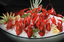 С���r������