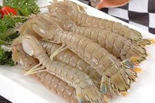 �����r������