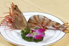 �����r������