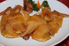 �D�u������